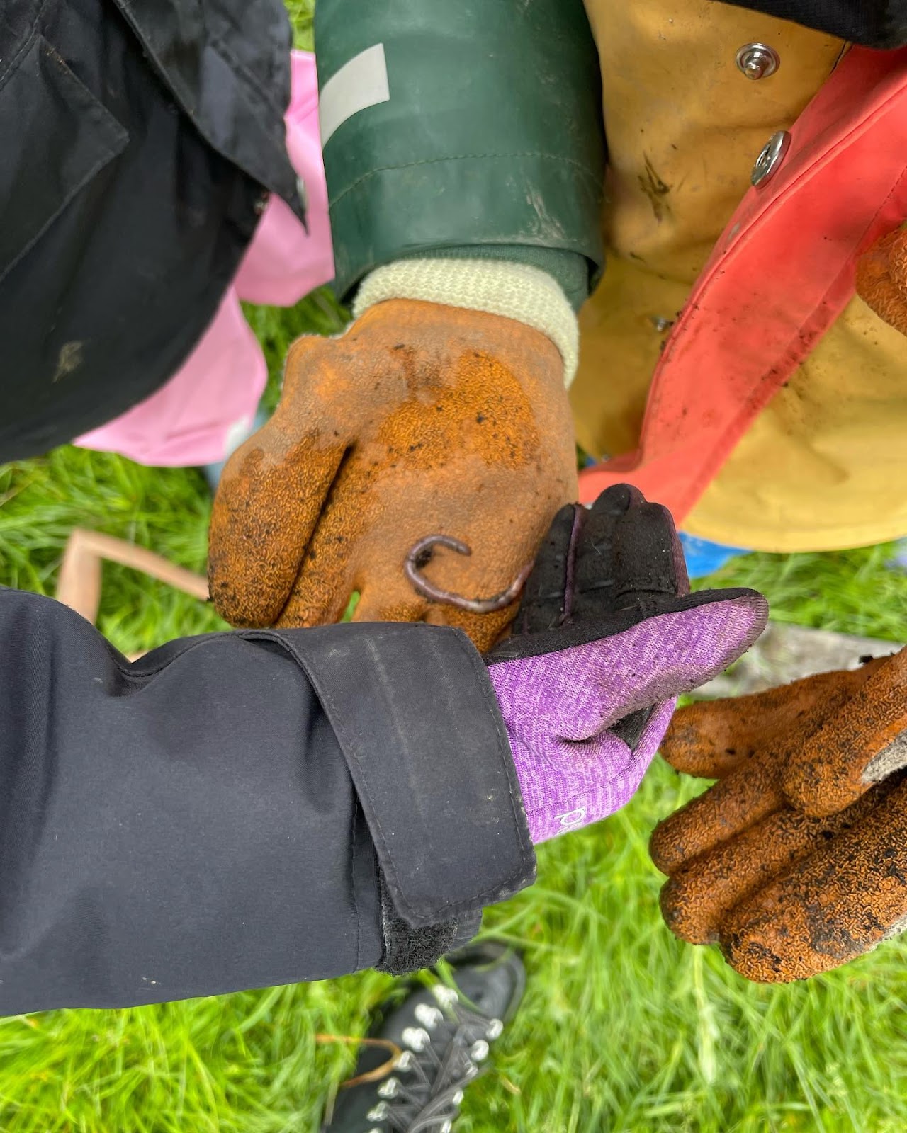 Chapelton-bug-hunt-worm-in-hand